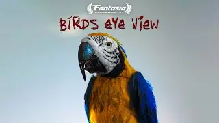 Bird's Eye View | Fantasia Film Festival - Official Selection 2025