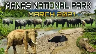 Manas National Park || March 2021 || Mathanguri || How to Book || How much cost || Everything