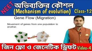 Gene flow and genetic drift in Bengali / জিন ফ্লো ও জেনেটিক ড্রিফট /অভিব্যাক্তির কৌশল /NEET/SLST