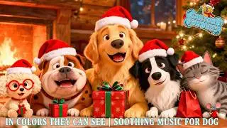 Music for Dogs ❄️🐶 Cartoon for Dogs When Home Alone in Colors they can see 💤