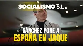 ⚠️LA SEGURIDAD DE ESPAÑA, EN PELIGRO⚠️ Las consecuencias de la regularización masiva