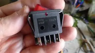pilot l
