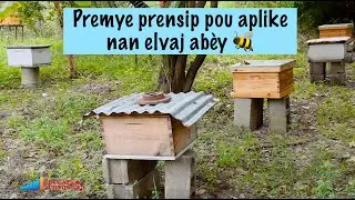 Premye prensip pou aplike nan elvaj abèy 🐝