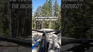 The Best Performing E-enduro On The Market. 40mph and 185Nm of torque #emtb #ebike #offroad