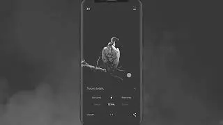 Flutter Animation in Category System  | Flutter Tutorial |