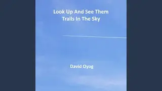 Look up and See Them Trails in the Sky