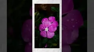 how to create nature photo to video | nature photo se kaise video banaa Instagram ke liye