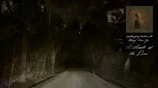Ethel Cain - A Knock at the Door (Official Visualizer)