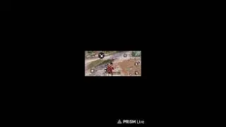 Live streaming of DIY Haven