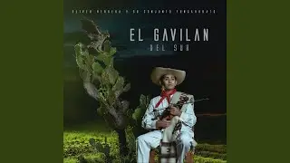 El Gavilán del Sur