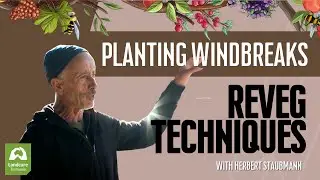 PLANTING WINDBREAKS - Revegetation Techniques with Herbert Staubmann