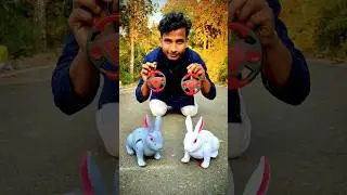 Mera two Remote Control Rabbit Ki Unboxing 😍 #shots #rabbit #rabbitvibes