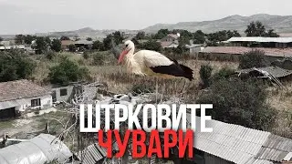 Селото на штрковите - Гнеотино | ЕП27