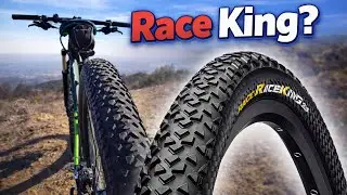 Continental Race King MTB Tire Review - Overhyped or Underrated?