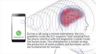 BioZen - Static and Extreme Low Frequency Magnetic Field Protection