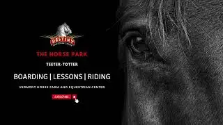Trail Obstacle Problem-Solving Destiny Morgan Horse Park &ndash; Overcoming the Teeter-totter