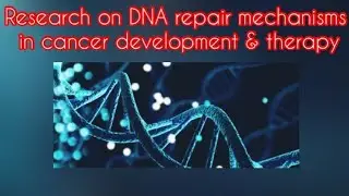 Research on DNA repair mechanisms in cancer development and therapy
