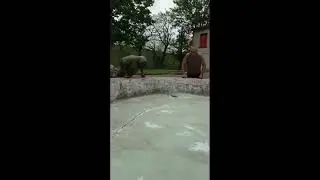 Entrenamiento Básico Legión Extranjera Francesa . TODO ES MENTAL