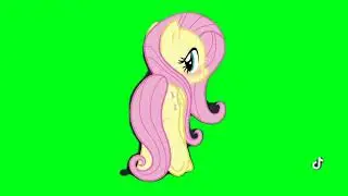 my little pony fluttershy  back green screen 