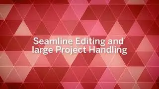 OV + UASMaster | Seamline Editing & Large Project Handling