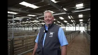 Sheep & Beef Event 2024