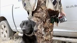 Winchester Legends S5E2 Nebraska Geese