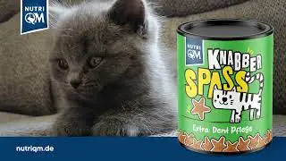 NutriQM Knabberspa&szlig; - Der Katzensnack mit dem Extra