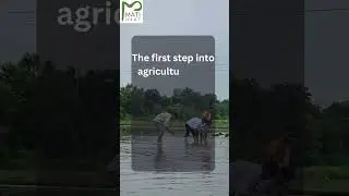 RAWE training by Matihaat on rice production. #matihaat #riceproduction #Ricegrowing