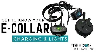 Mini Educator Charging & LED Lights - E-Collar Manual How To | Freedom K9 Training