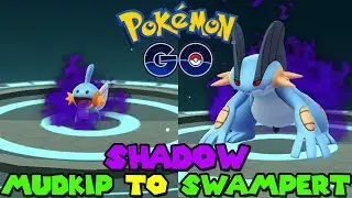 Evolving SHADOW MUDKIP TO SHADOW SWAMPERT IN POKEMON GO
