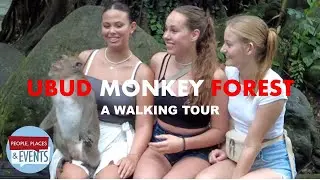 Ubud Monkey Forest | Bali Indonesia | A Walking Tour
