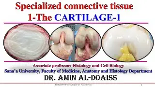 Histology : Lecture-16: Specialized (skeletal-Supporting) Connective Tissue- The cartilage -part 1