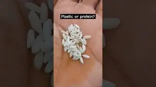 plastic or protein rice ? #plasticrice #protine #rice #govt #rationrice #alameesravanitho