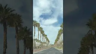 Weekend Errands Daily Vlog 🌴🚗☀️in Las Vegas 📍🎲🎰