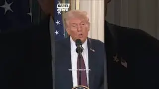 Trump Pledges Full Support for Israel to Defeat Hamas if Peace Deal Fails