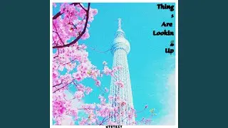 Things Are Looking Up
