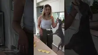 Я собрал НЕВОЗМОЖНЫЙ Pringle Square.