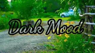 10 min meditation sounds, piano love, relaxing sleep music, Dark mood