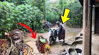 RAINY! RAINY!! African Village Life on a Rainy Day