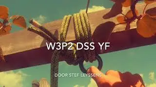 W3P2 met DSS en YF snel