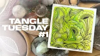 Tangle Tuesday Ep: 1