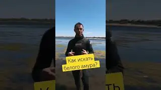 Как искать белого амура? Обучающий фильм... #обучениеподводнойохоте #волгаград
