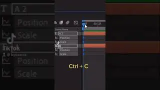 After Effects Biggest Issue 🥵