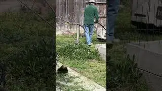 Cleaning Our Backyard | Cutting the overgrown grass