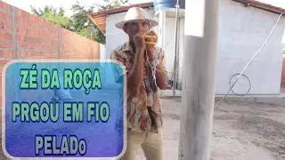 ZÉ DA ROÇA  PEGOU EM FIO PELADO