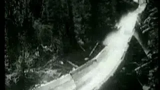 SWEDISH WOOD AND PULP PRODUCTION SCA-film nr 75