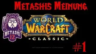 WOW CLASSIC: Erinnerung an die Zukunft - SO WAR ES WIRKLICH! (#1)