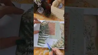 Hedge Witch | Journal with me #scrapbooking #art #journal