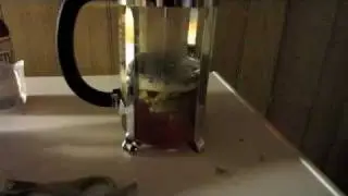 Homebrew Wednesday #10 - Immolateus Hops + French Press