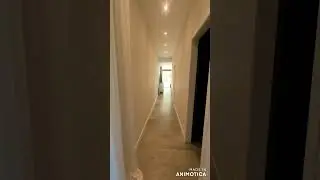 DE LA CINCHA 341